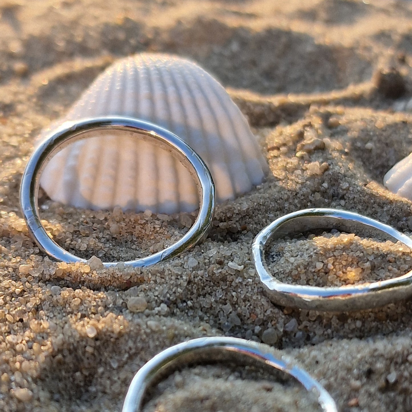 Drei handgefertigte, schlichte Silberringe liegen im Sand neben einer weißen Muschel. Die Ringe spiegeln das warme Licht der Sonne wider und zeigen ihre organisch geschwungene Form. Natürlicher Unikatschmuck aus Silber – inspiriert vom Meer und perfekt für Minimalist*innen.