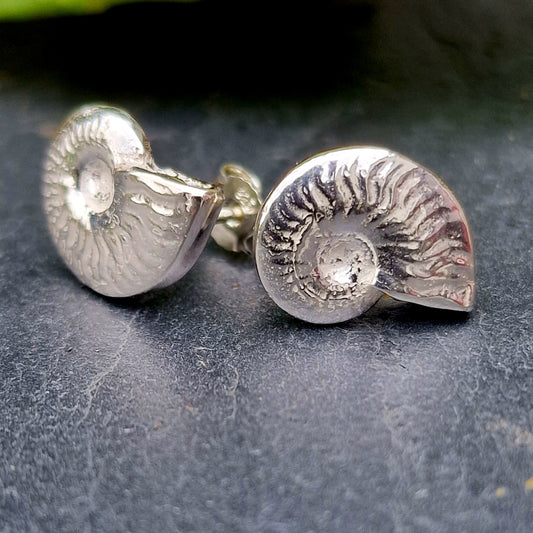 Ammonit Silberstecker