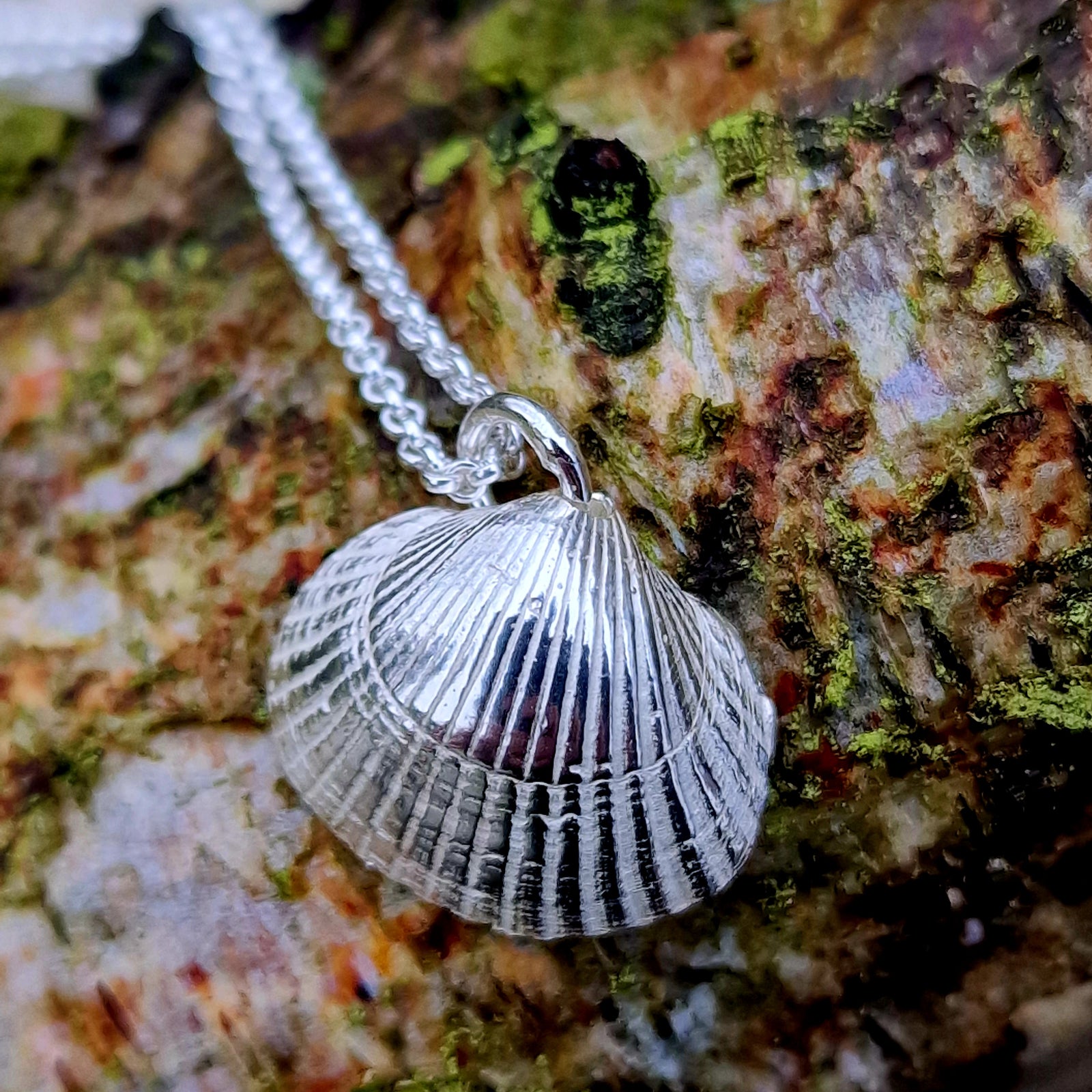 Detailaufnahme einer silbernen Muschelkette auf einem moosbewachsenen Stück Rinde. Die feinen Rillen der Muschel sind deutlich sichtbar, der Anhänger wirkt naturgetreu und maritim. Handgefertigter Silberschmuck inspiriert von der Küste – perfekt für Meerliebhaber*innen.
