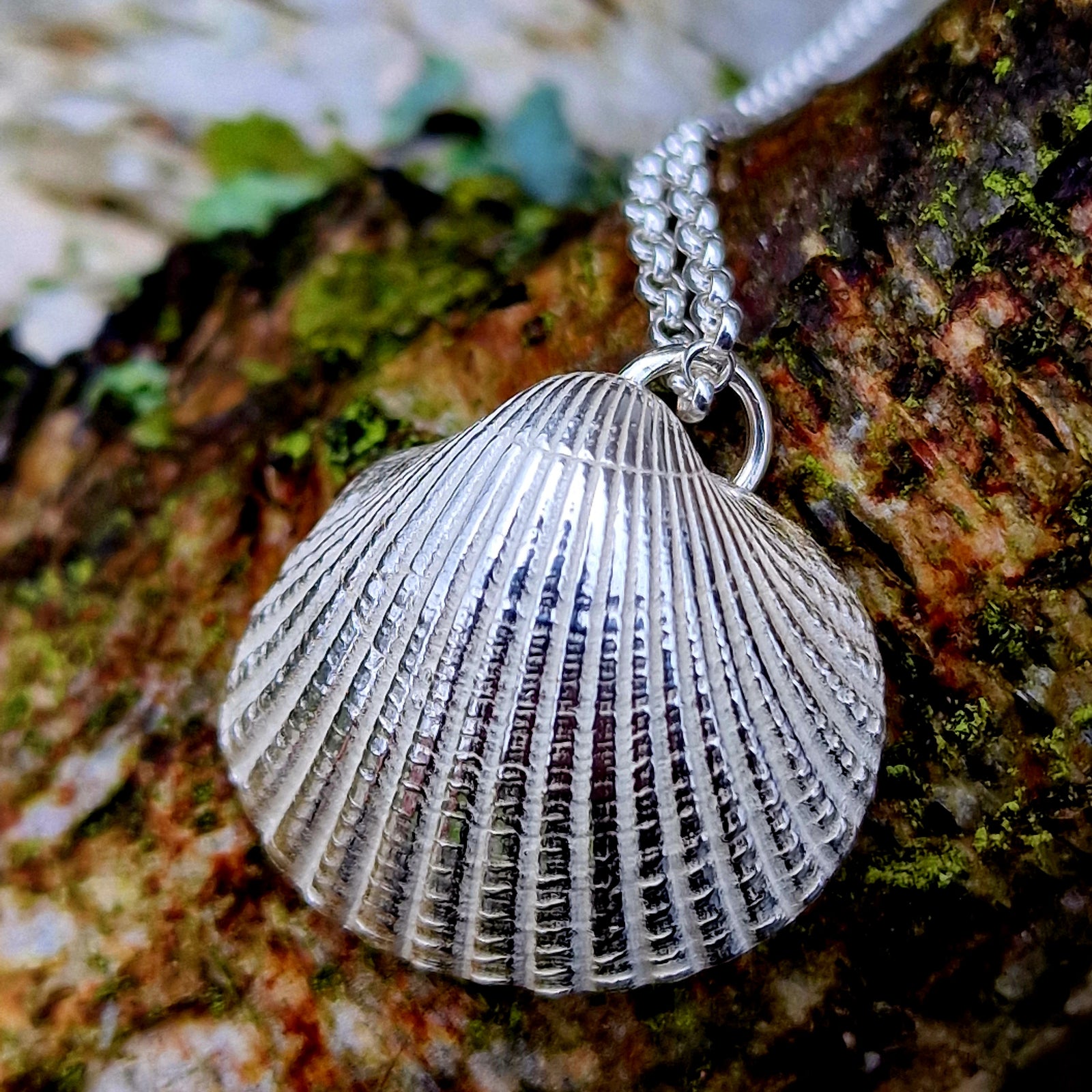 Detailreicher Silberanhänger in Form einer natürlichen Muschel, auf einem moosbedeckten Baumstamm fotografiert. Der handgefertigte Muschelschmuck aus 925er Silber ist von der Natur inspiriert und ein beliebtes Motiv im hochwertigen Silberschmuck.