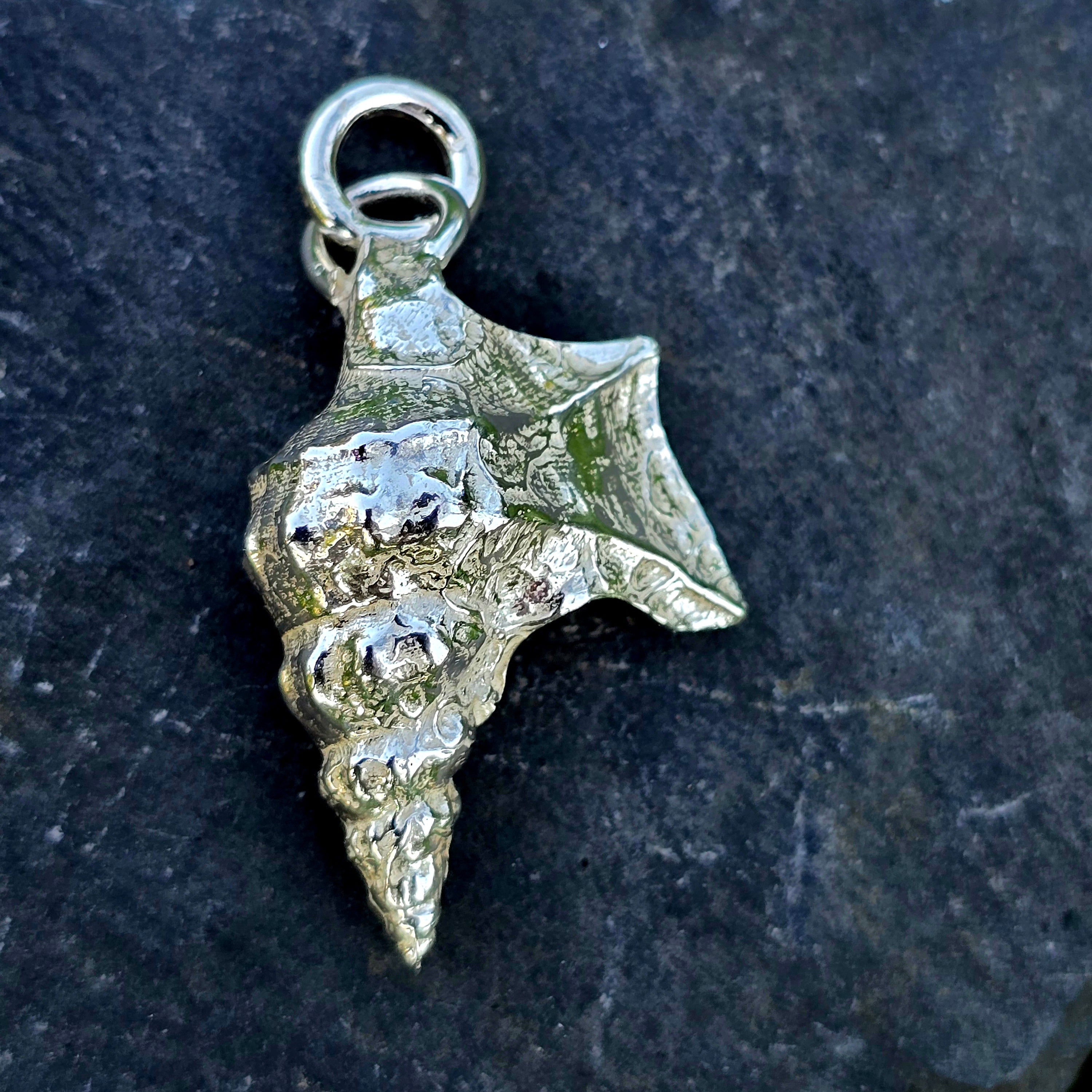 Pelikanfuß-Muschel | massiv in 925 Silber – Humlasdesign